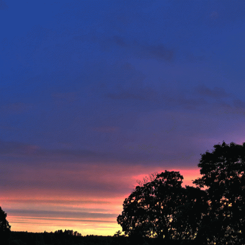 Allon Bachuth : Ishbak